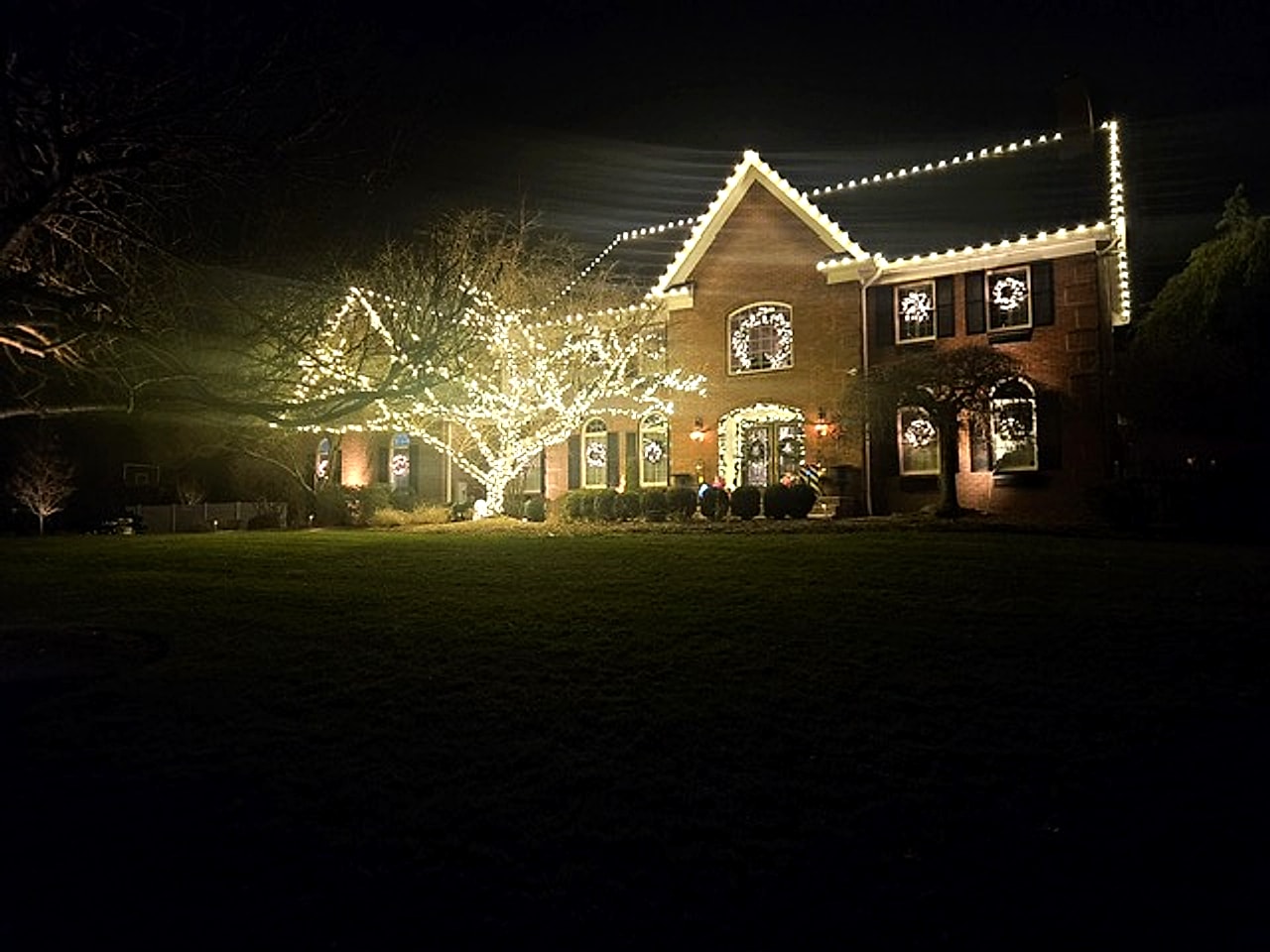 Warm white string lights illuminating a large mature tree at a Bergen County, NJ home